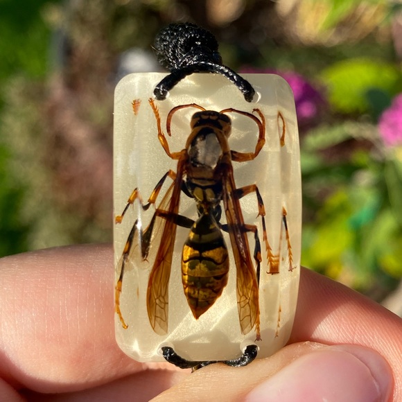 Real Yellow Jacket Wasp Bracelet Gothic - Picture 3 of 9